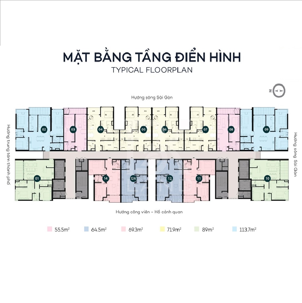 Tầng Điển Hình
